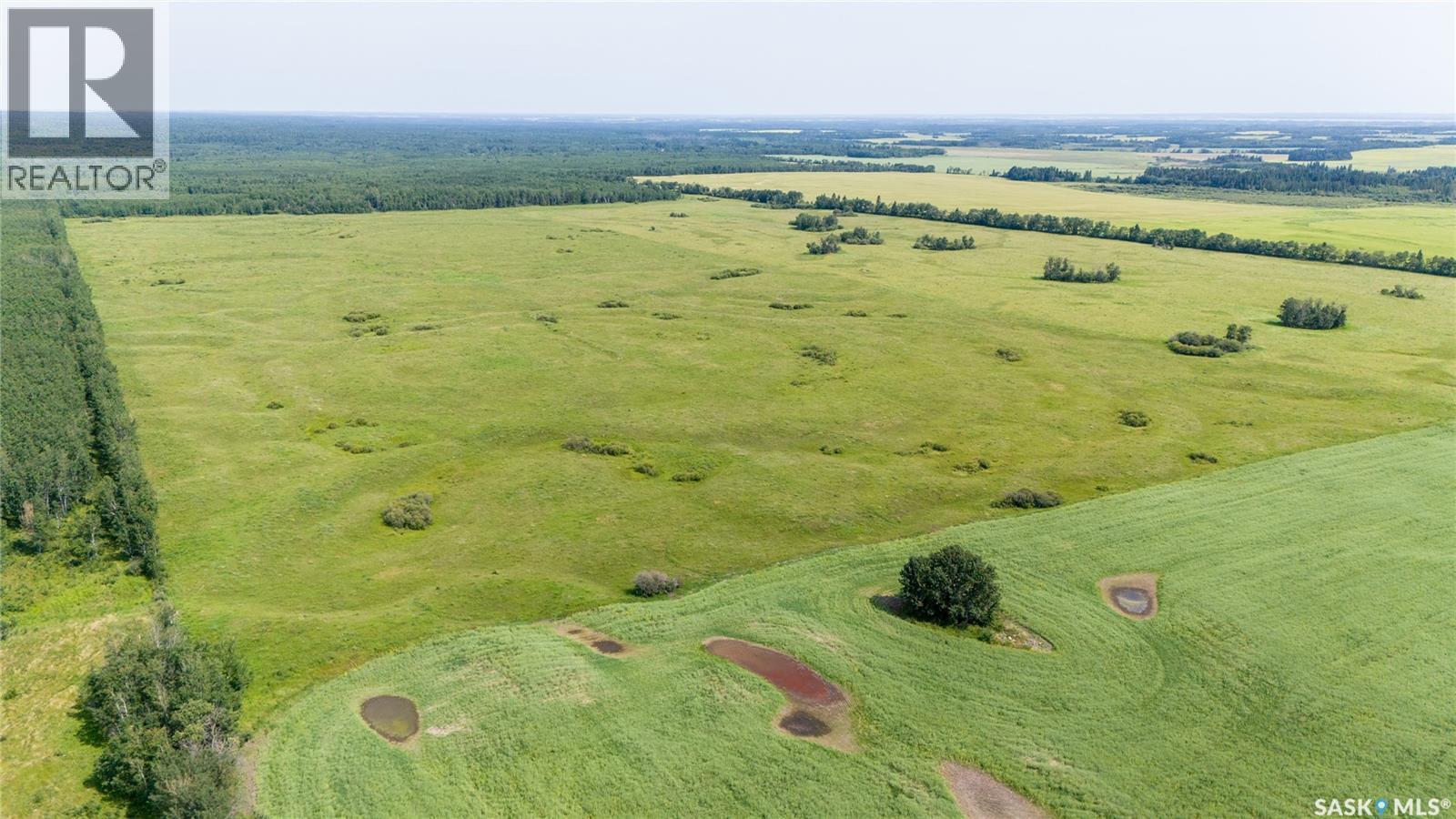 1685 Acres Mixed Use Land Near Spiritwood, Medstead Rm No.497, Saskatchewan S0J 2M0 - Photo 9 - SK044480