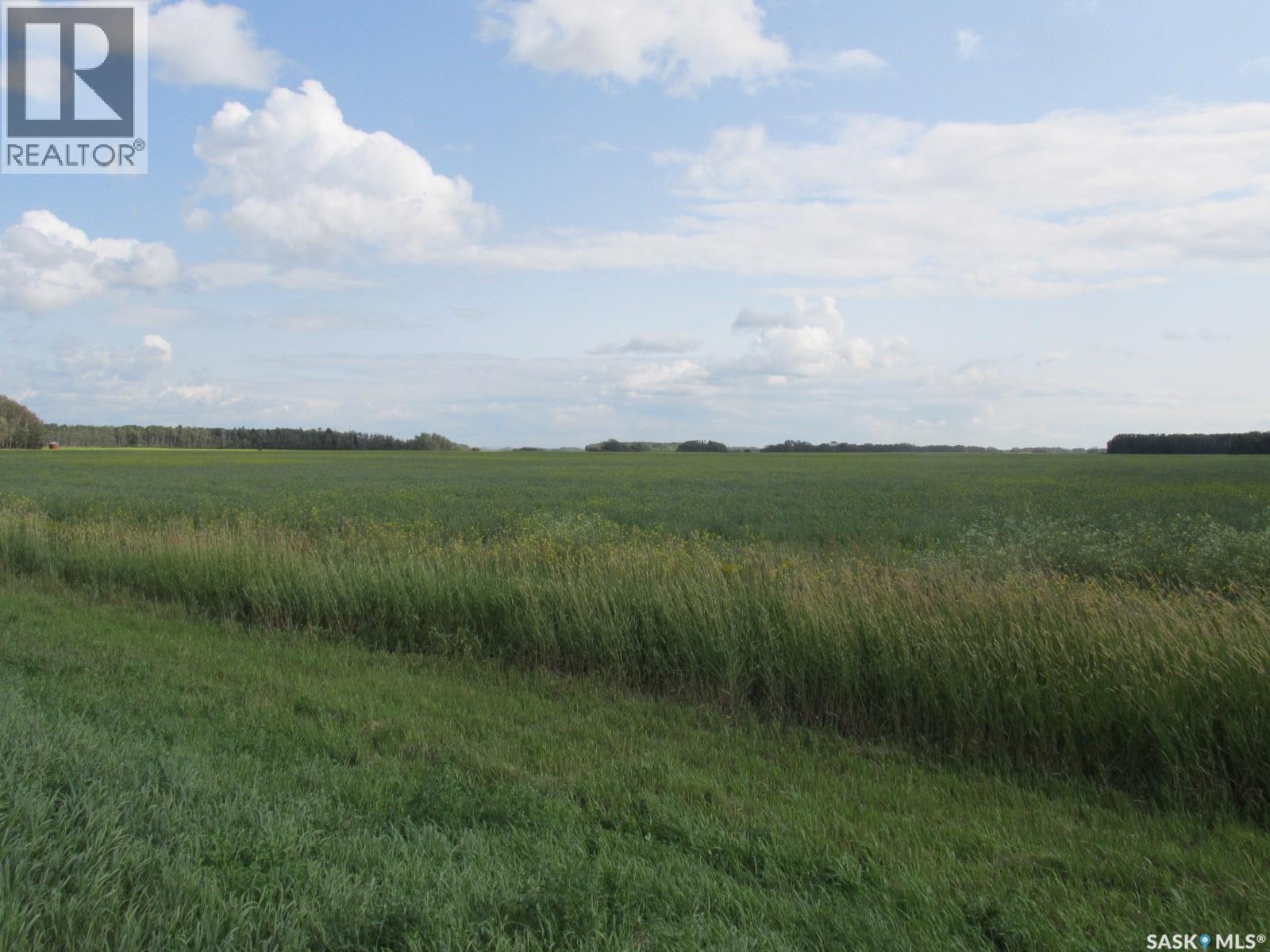 Land East Of Nipawin, Nipawin Rm No. 487, Saskatchewan S0E 1E0 - Photo 11 - SK044687