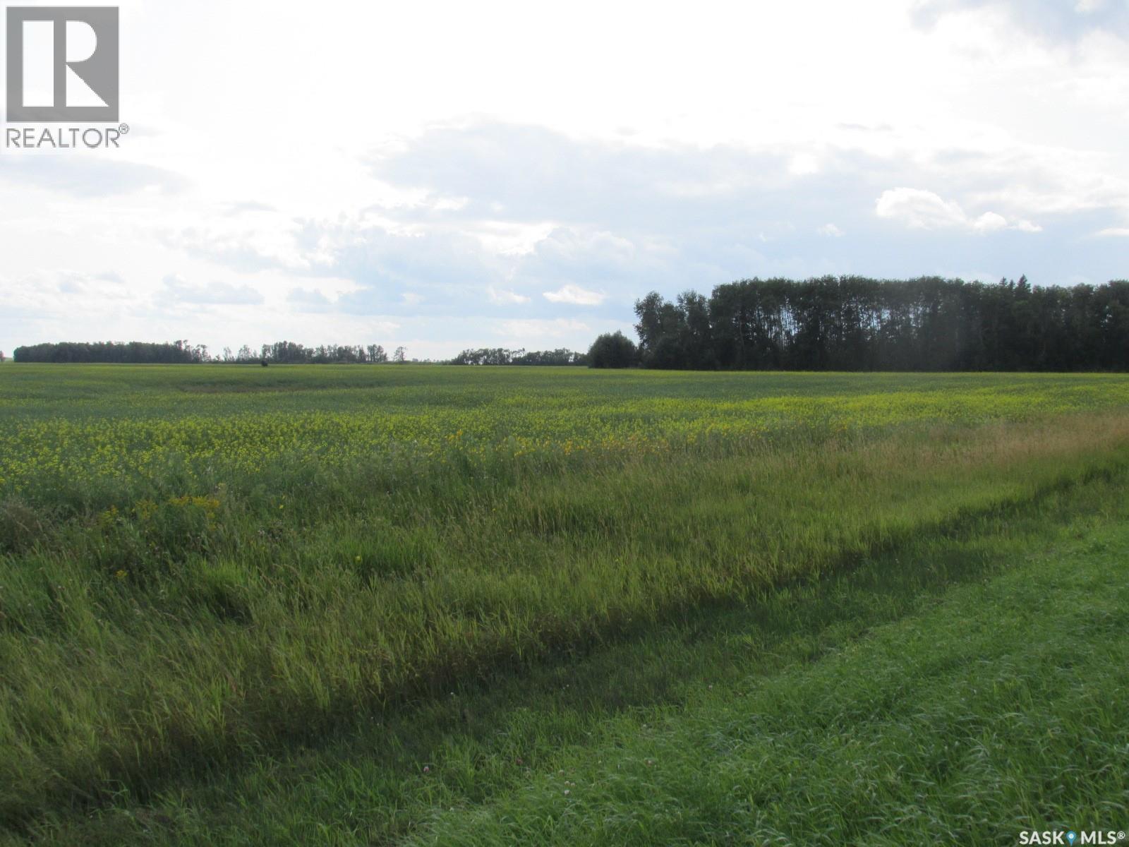 Land East Of Nipawin, Nipawin Rm No. 487, Saskatchewan S0E 1E0 - Photo 12 - SK044687