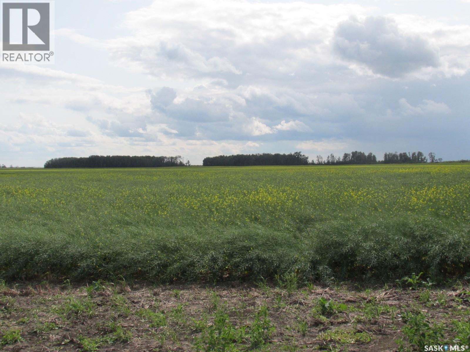 Land East Of Nipawin, Nipawin Rm No. 487, Saskatchewan S0E 1E0 - Photo 14 - SK044687