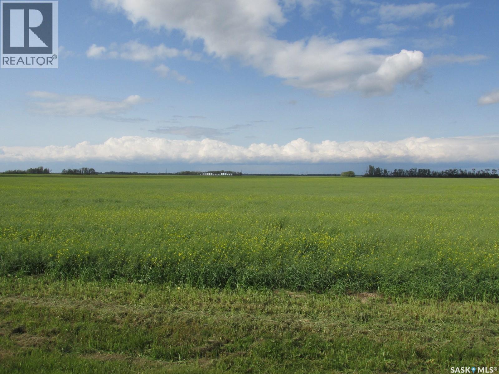 Land East Of Nipawin, Nipawin Rm No. 487, Saskatchewan S0E 1E0 - Photo 3 - SK044687