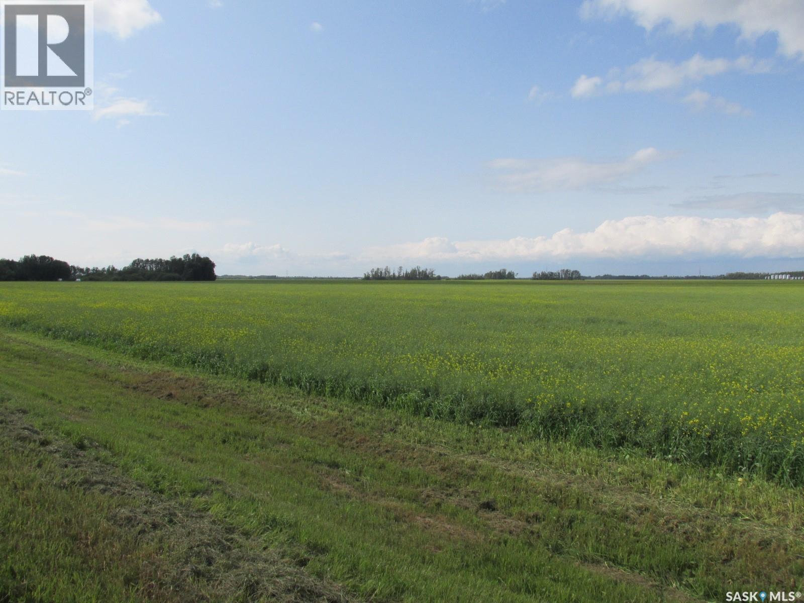 Land East Of Nipawin, Nipawin Rm No. 487, Saskatchewan S0E 1E0 - Photo 4 - SK044687