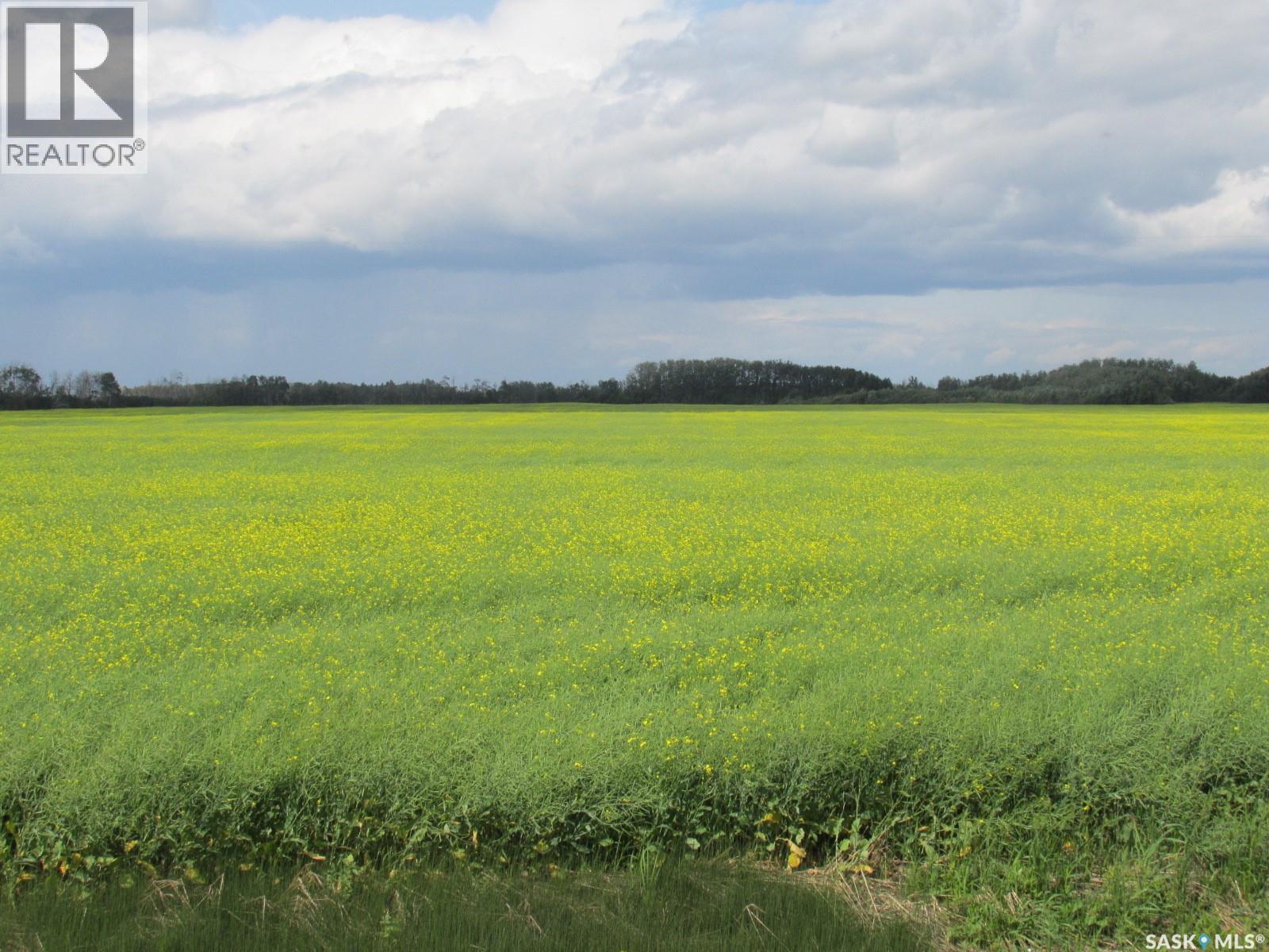 Land East Of Nipawin, Nipawin Rm No. 487, Saskatchewan S0E 1E0 - Photo 7 - SK044687