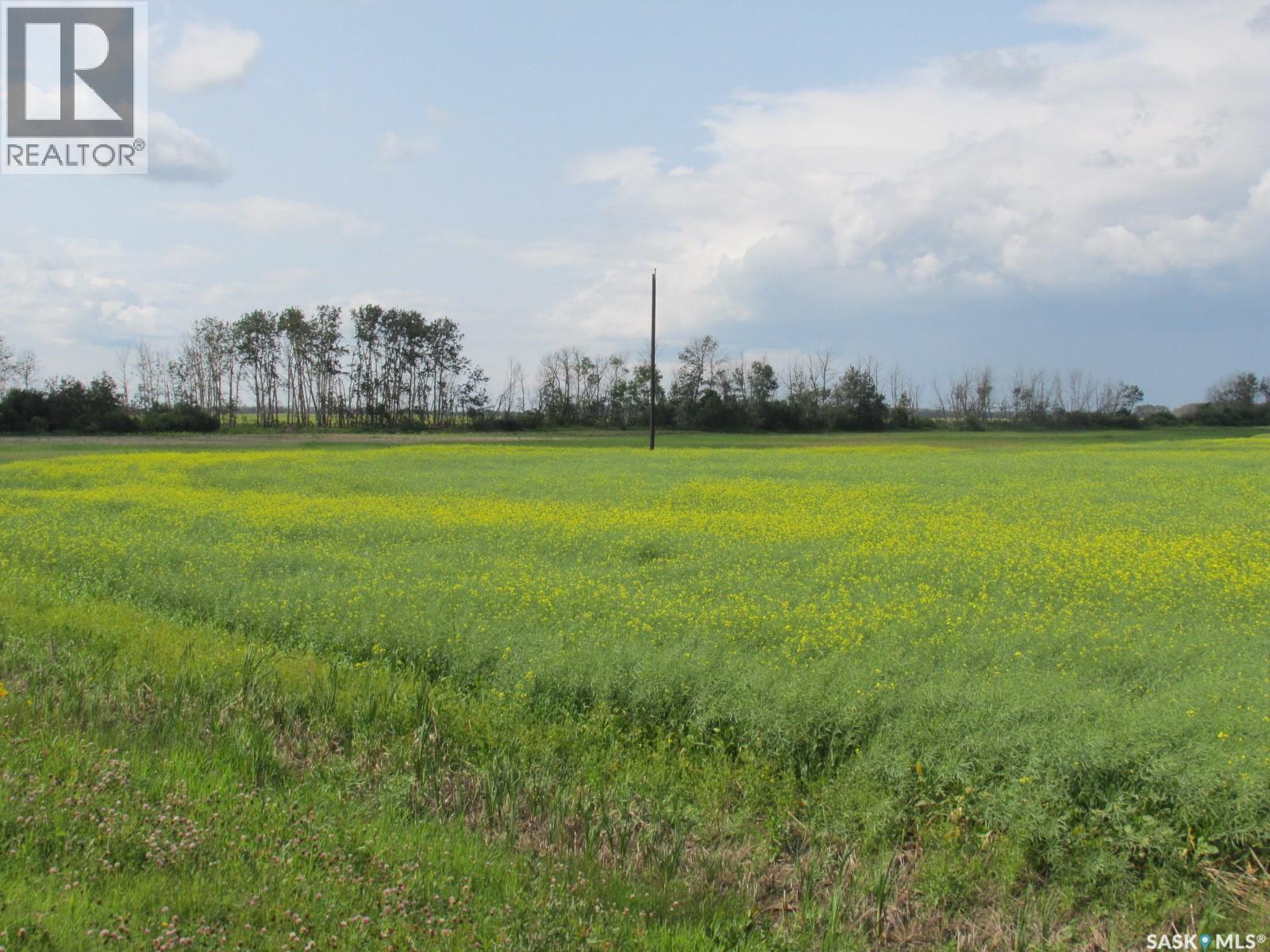 Land East Of Nipawin, Nipawin Rm No. 487, Saskatchewan S0E 1E0 - Photo 8 - SK044687