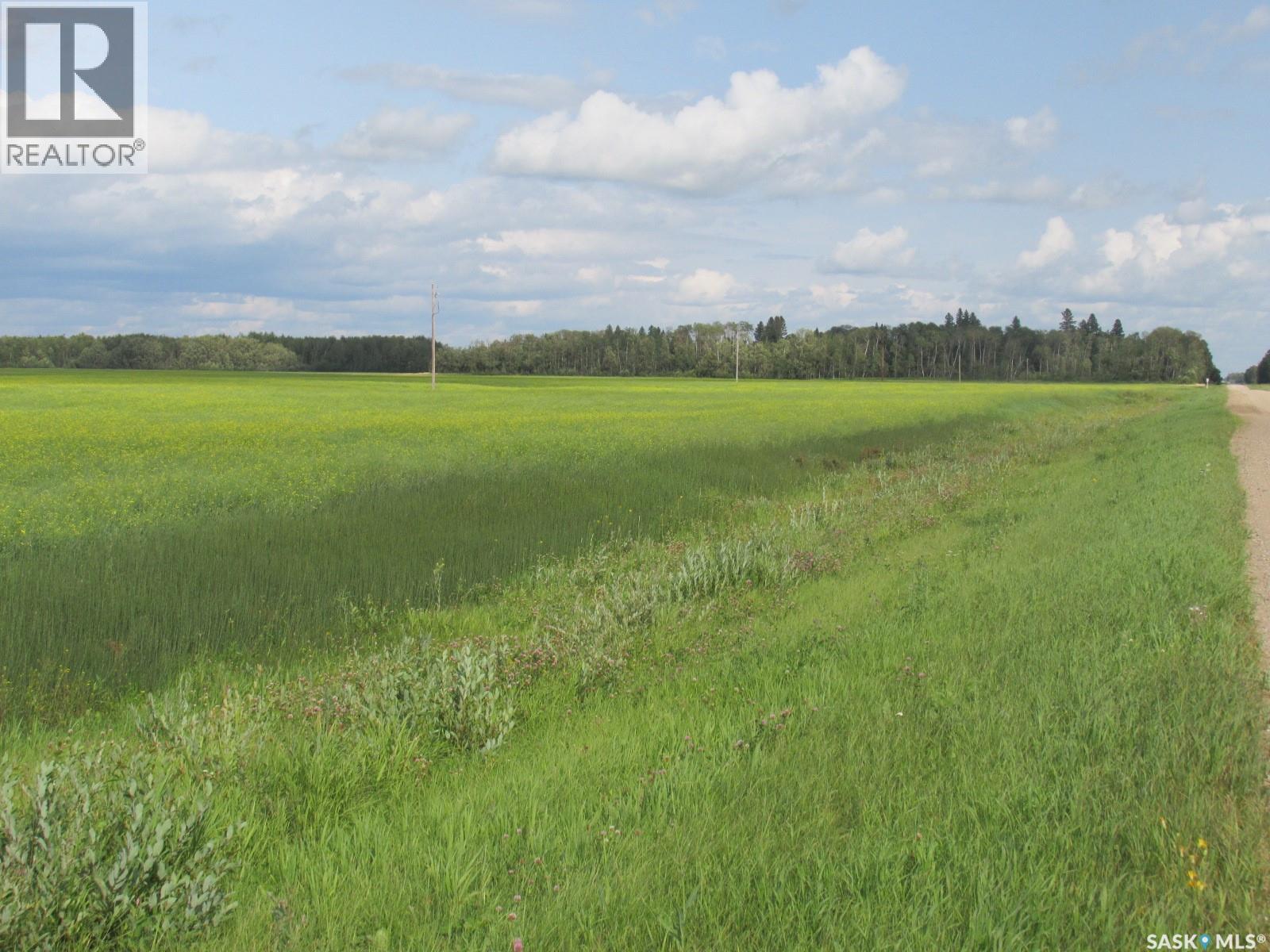 Land East Of Nipawin, Nipawin Rm No. 487, Saskatchewan S0E 1E0 - Photo 9 - SK044687