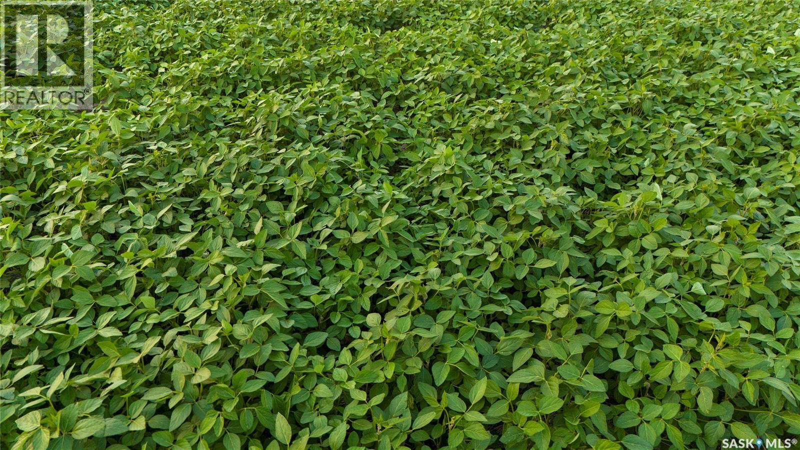 1,033 Acres - Frobisher - Rm's 3 & 4, Coalfields Rm No. 4, Saskatchewan S0C 0B2 - Photo 10 - SK044649