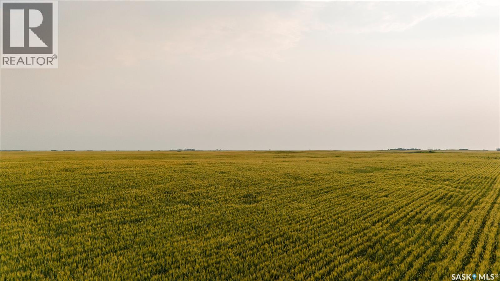 1,033 Acres - Frobisher - Rm's 3 & 4, Coalfields Rm No. 4, Saskatchewan S0C 0B2 - Photo 15 - SK044649