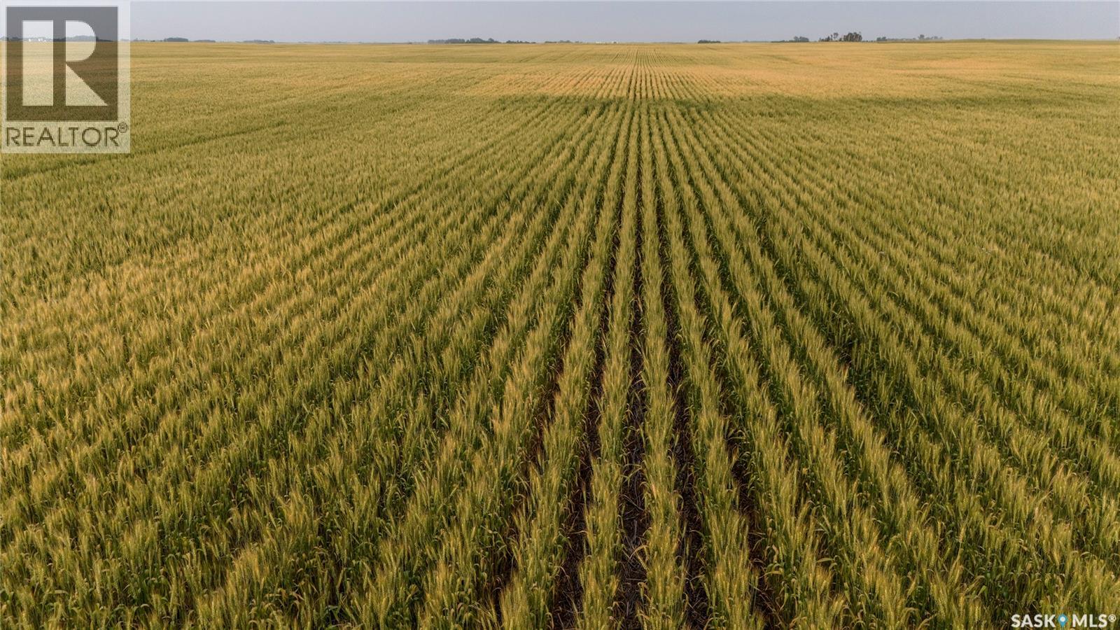1,033 Acres - Frobisher - Rm's 3 & 4, Coalfields Rm No. 4, Saskatchewan S0C 0B2 - Photo 20 - SK044649