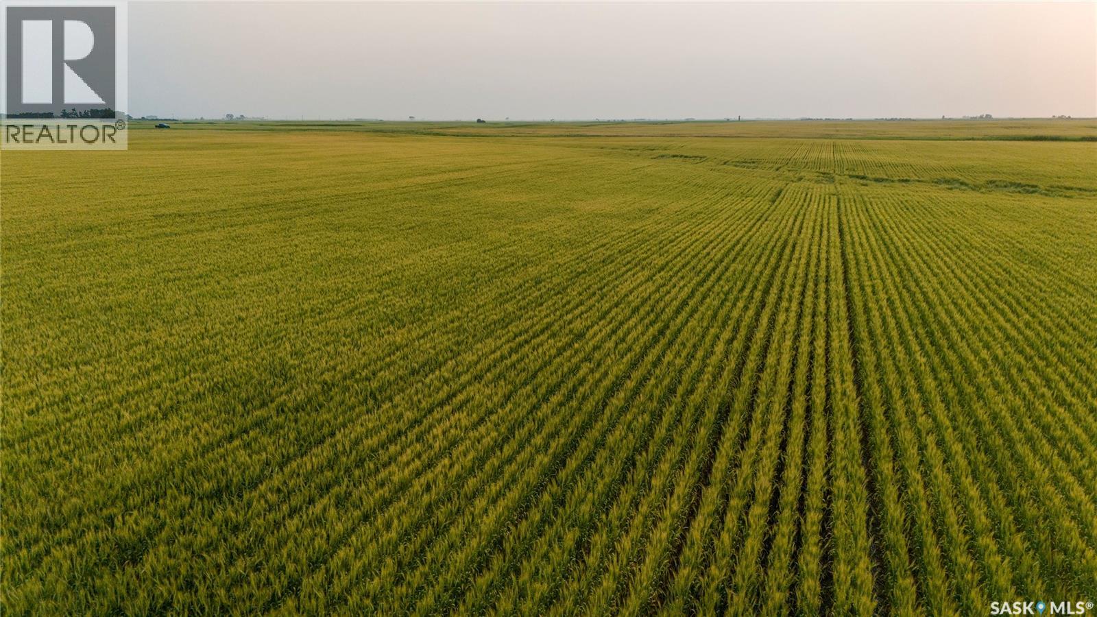 1,033 Acres - Frobisher - Rm's 3 & 4, Coalfields Rm No. 4, Saskatchewan S0C 0B2 - Photo 24 - SK044649