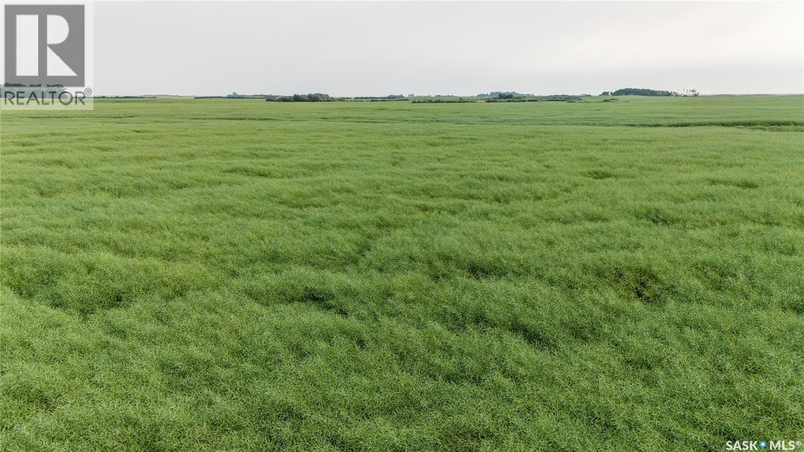 1,033 Acres - Frobisher - Rm's 3 & 4, Coalfields Rm No. 4, Saskatchewan S0C 0B2 - Photo 28 - SK044649
