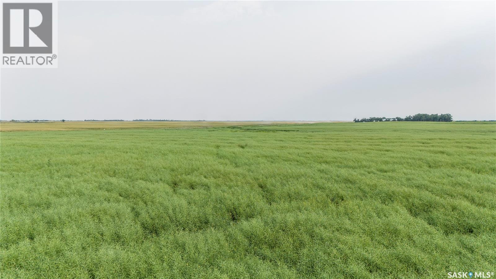 1,033 Acres - Frobisher - Rm's 3 & 4, Coalfields Rm No. 4, Saskatchewan S0C 0B2 - Photo 29 - SK044649