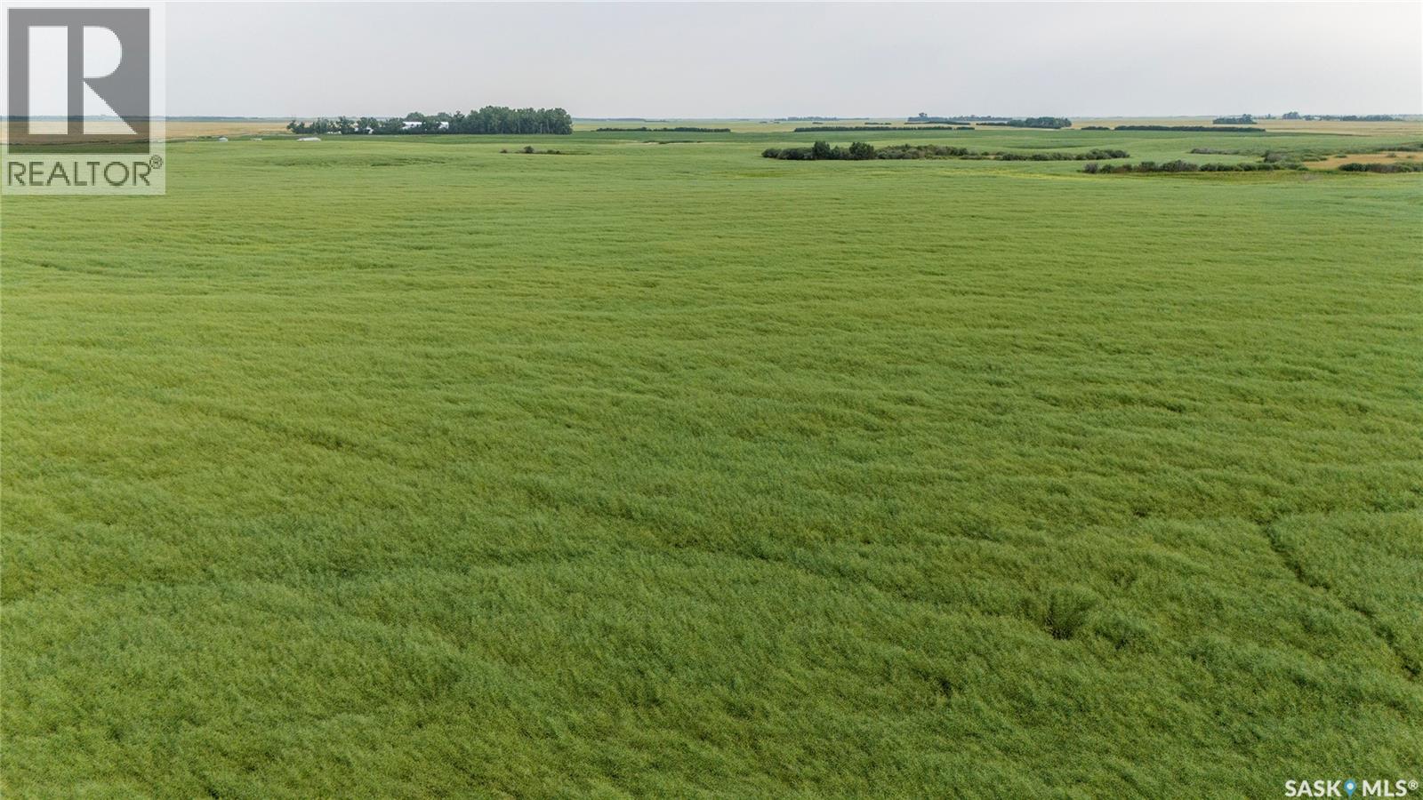 1,033 Acres - Frobisher - Rm's 3 & 4, Coalfields Rm No. 4, Saskatchewan S0C 0B2 - Photo 31 - SK044649