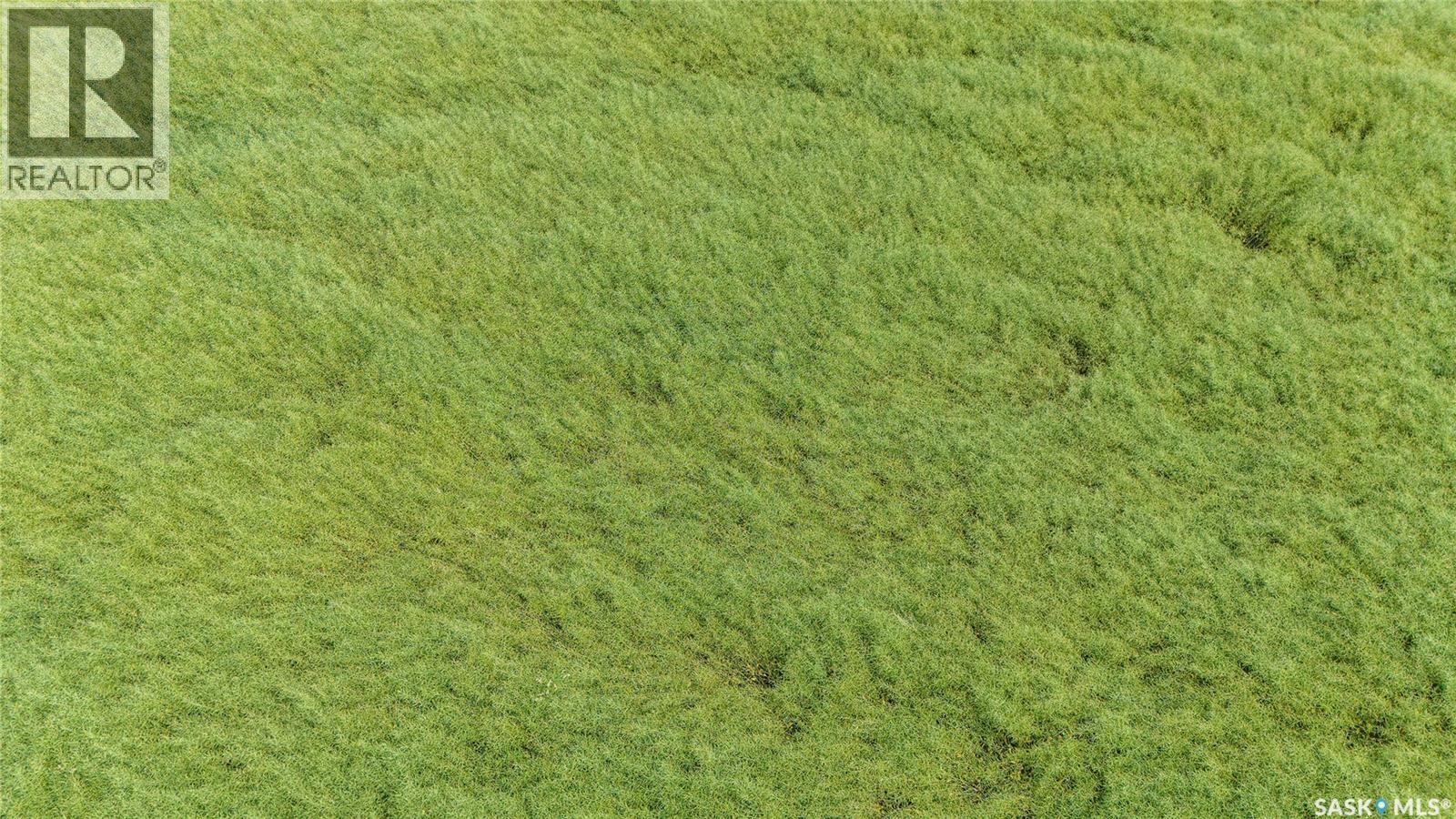 1,033 Acres - Frobisher - Rm's 3 & 4, Coalfields Rm No. 4, Saskatchewan S0C 0B2 - Photo 32 - SK044649