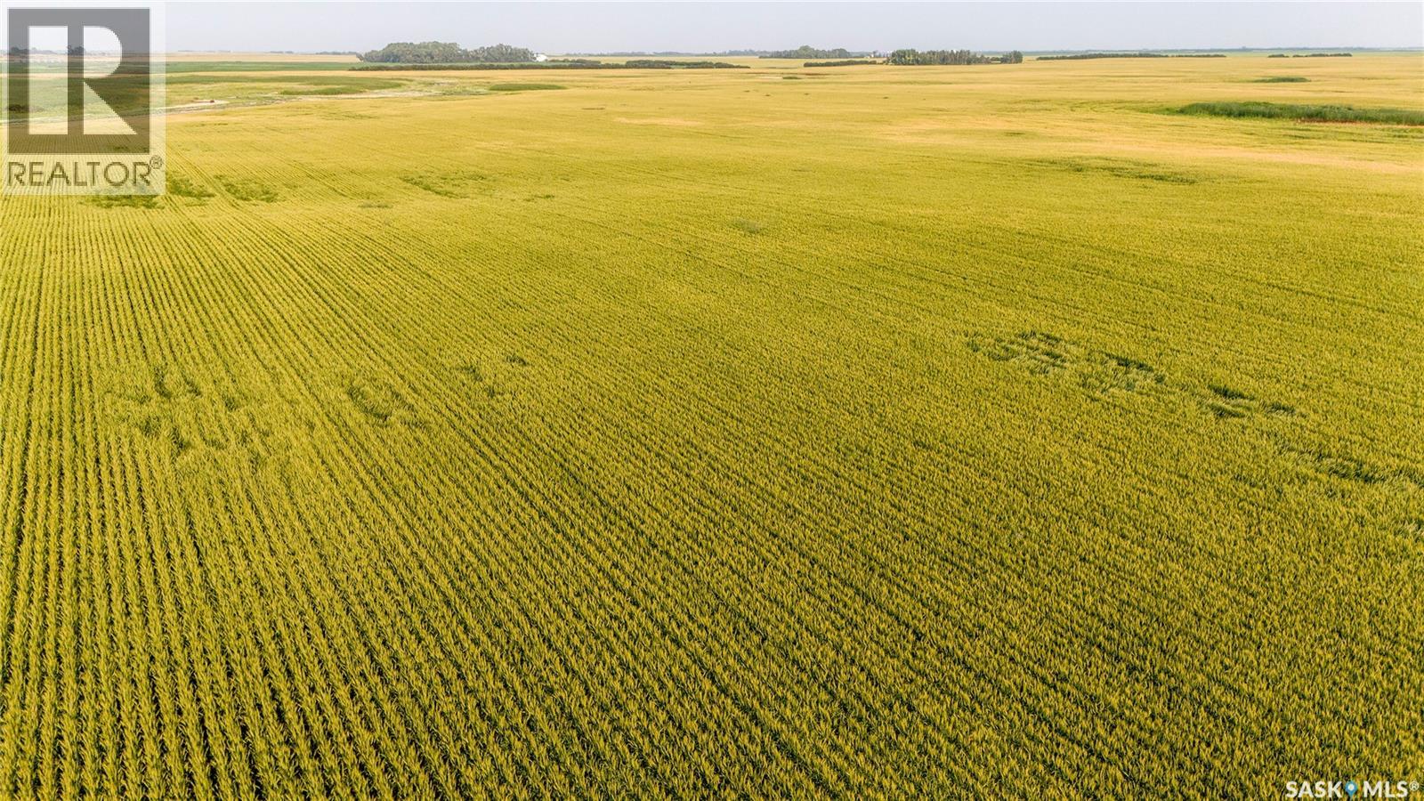 1,033 Acres - Frobisher - Rm's 3 & 4, Coalfields Rm No. 4, Saskatchewan S0C 0B2 - Photo 38 - SK044649
