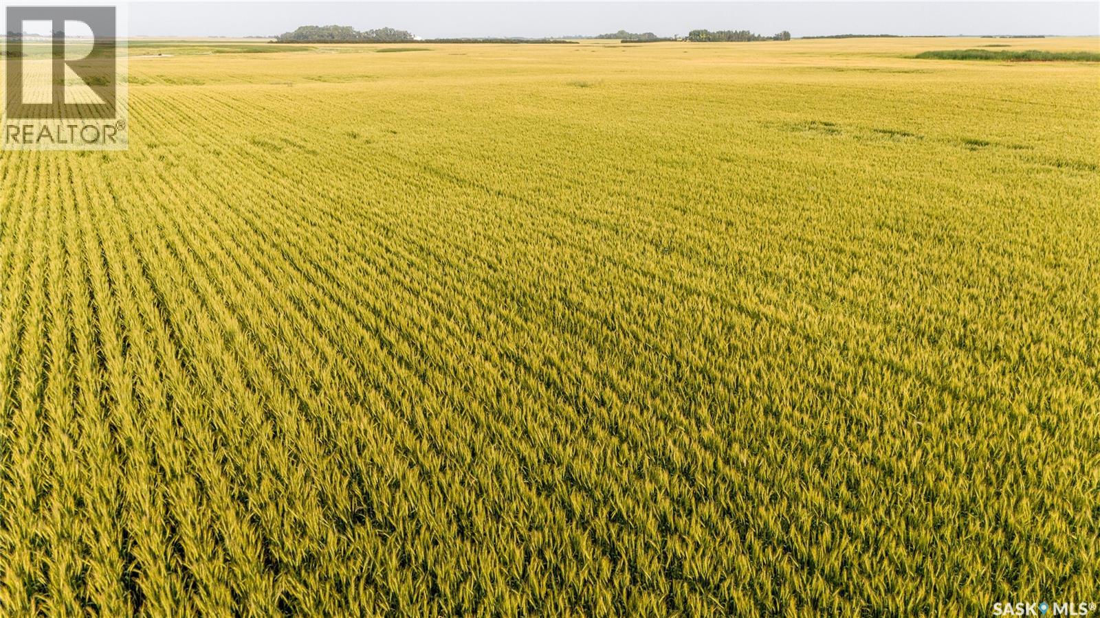 1,033 Acres - Frobisher - Rm's 3 & 4, Coalfields Rm No. 4, Saskatchewan S0C 0B2 - Photo 39 - SK044649