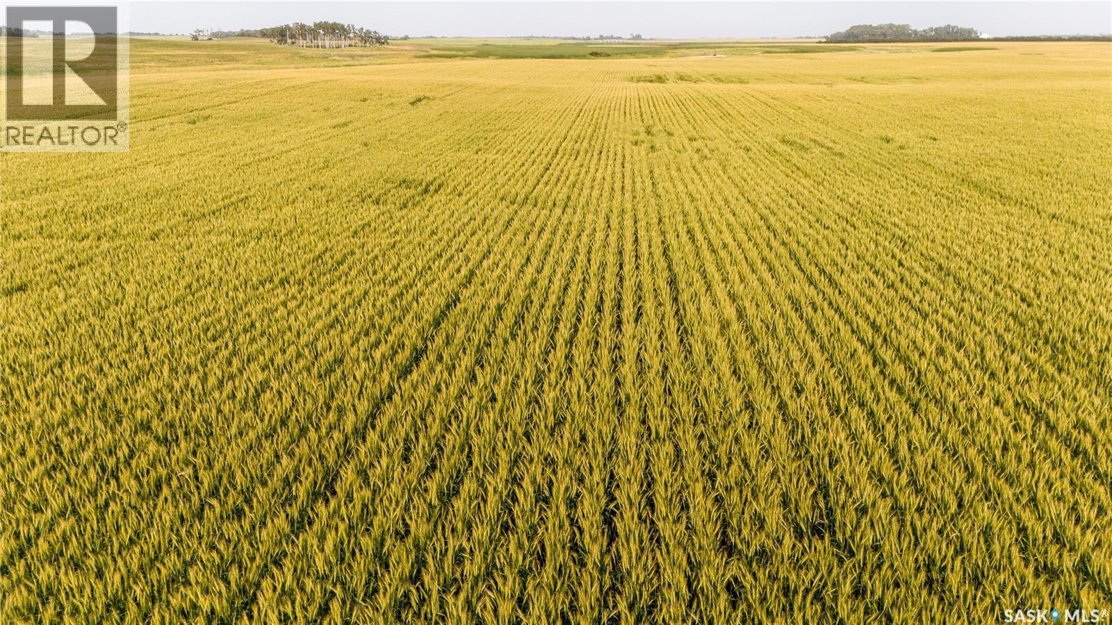1,033 Acres - Frobisher - Rm's 3 & 4, Coalfields Rm No. 4, Saskatchewan S0C 0B2 - Photo 40 - SK044649