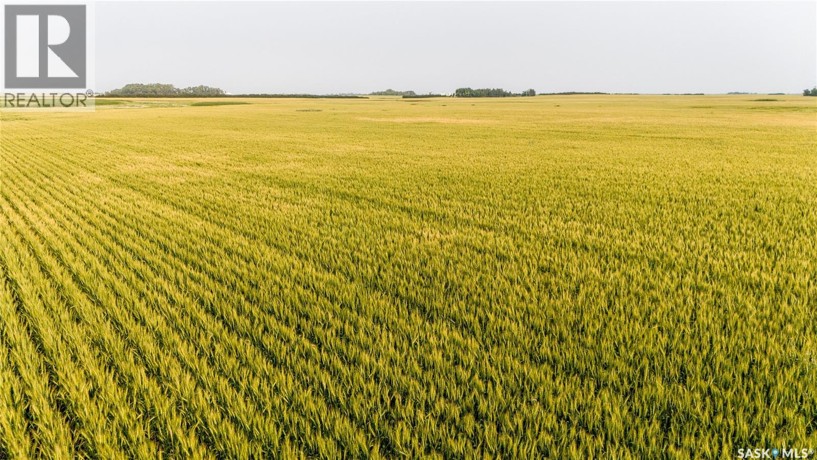 1,033 Acres - Frobisher - Rm's 3 & 4, Coalfields Rm No. 4, Saskatchewan S0C 0B2 - Photo 41 - SK044649