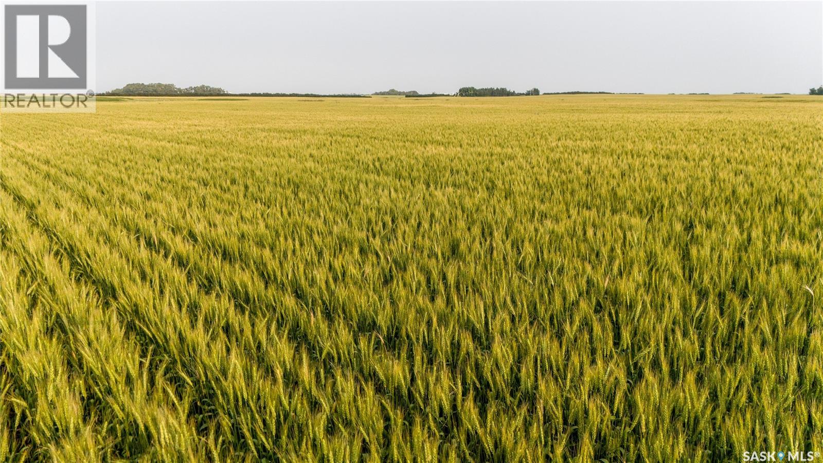 1,033 Acres - Frobisher - Rm's 3 & 4, Coalfields Rm No. 4, Saskatchewan S0C 0B2 - Photo 42 - SK044649