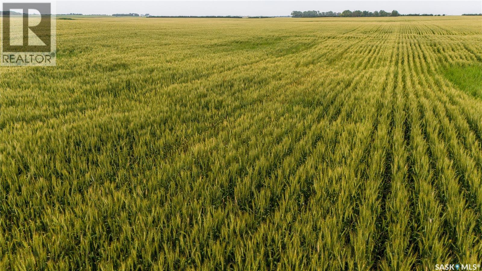 1,033 Acres - Frobisher - Rm's 3 & 4, Coalfields Rm No. 4, Saskatchewan S0C 0B2 - Photo 45 - SK044649