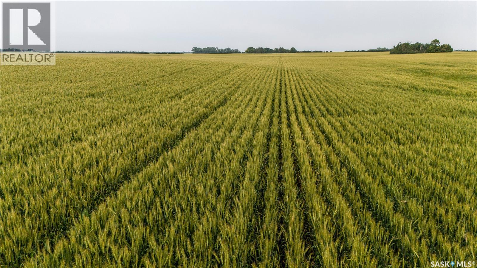 1,033 Acres - Frobisher - Rm's 3 & 4, Coalfields Rm No. 4, Saskatchewan S0C 0B2 - Photo 46 - SK044649