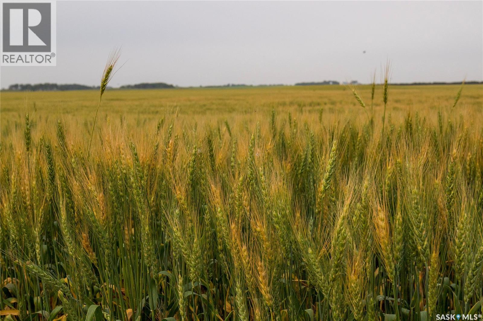 1,033 Acres - Frobisher - Rm's 3 & 4, Coalfields Rm No. 4, Saskatchewan S0C 0B2 - Photo 47 - SK044649
