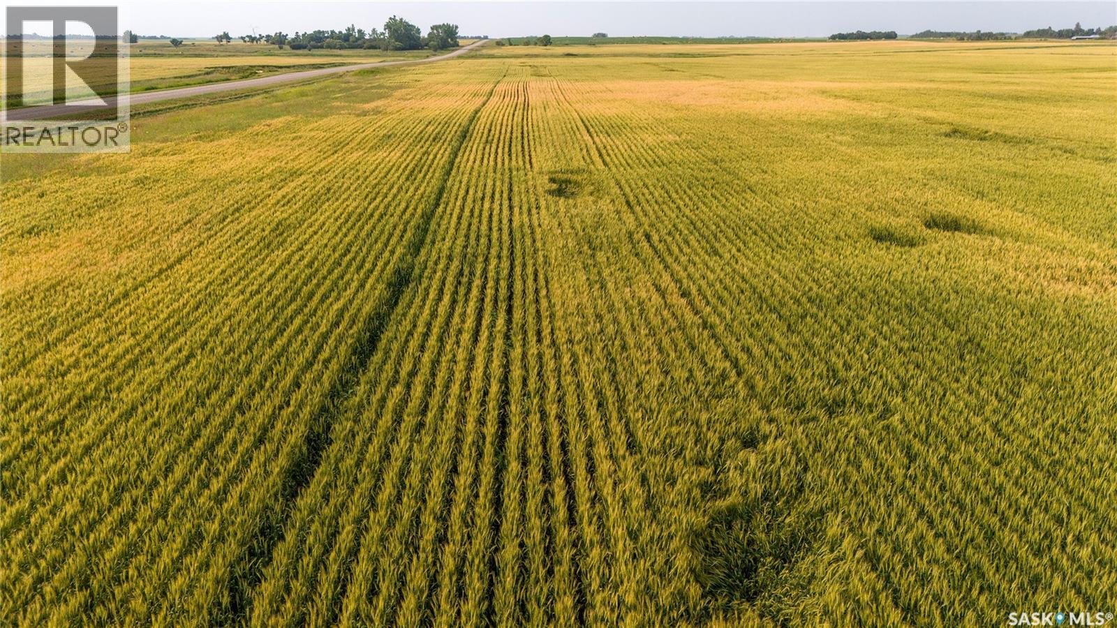 1,033 Acres - Frobisher - Rm's 3 & 4, Coalfields Rm No. 4, Saskatchewan S0C 0B2 - Photo 50 - SK044649
