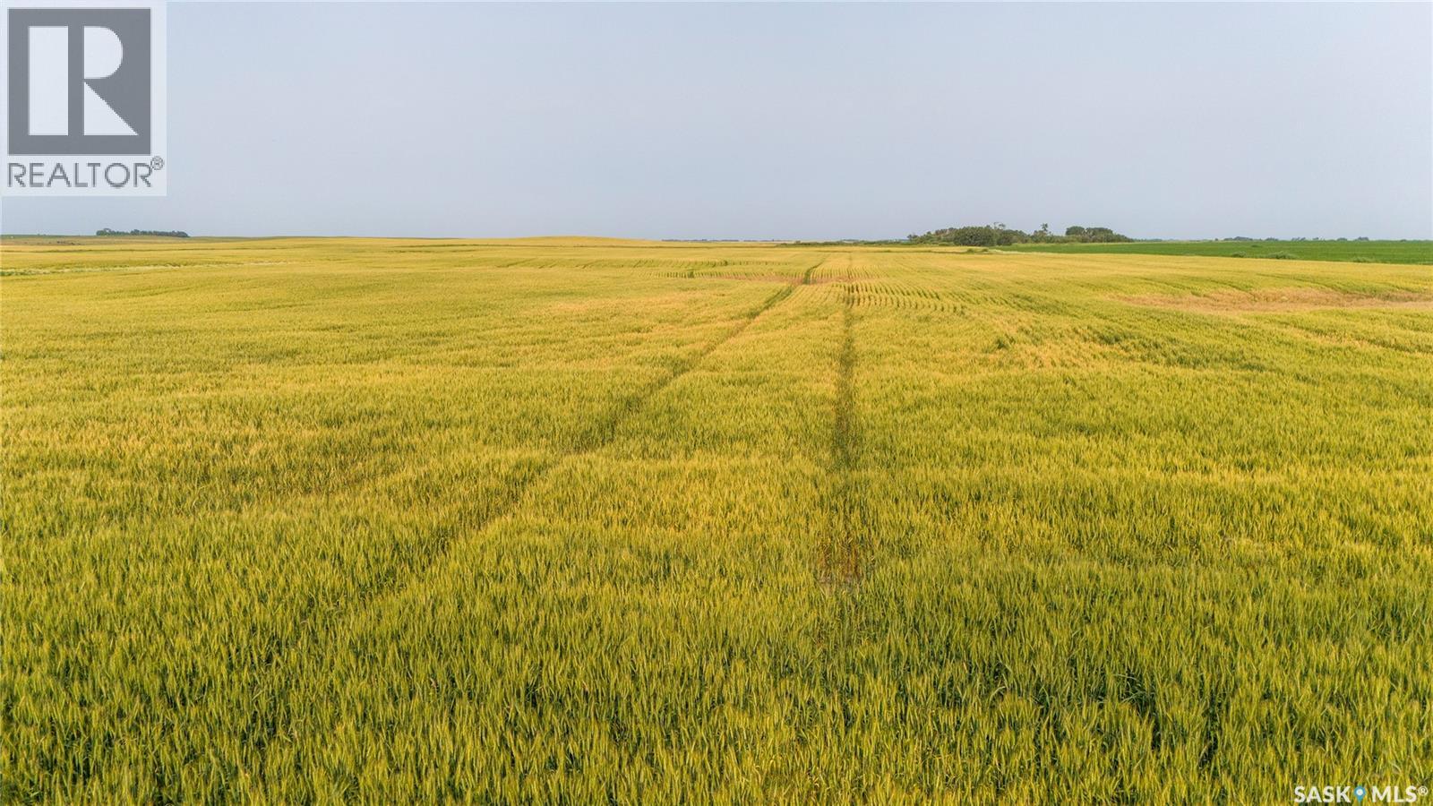 1,033 Acres - Frobisher - Rm's 3 & 4, Coalfields Rm No. 4, Saskatchewan S0C 0B2 - Photo 51 - SK044649