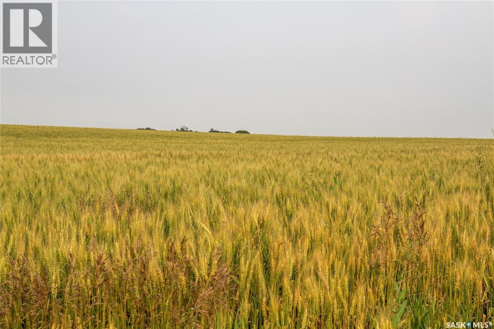 1,033 Acres - Frobisher - Rm's 3 & 4, Coalfields Rm No. 4, Saskatchewan S0C 0B2 - Photo 57 - SK044649
