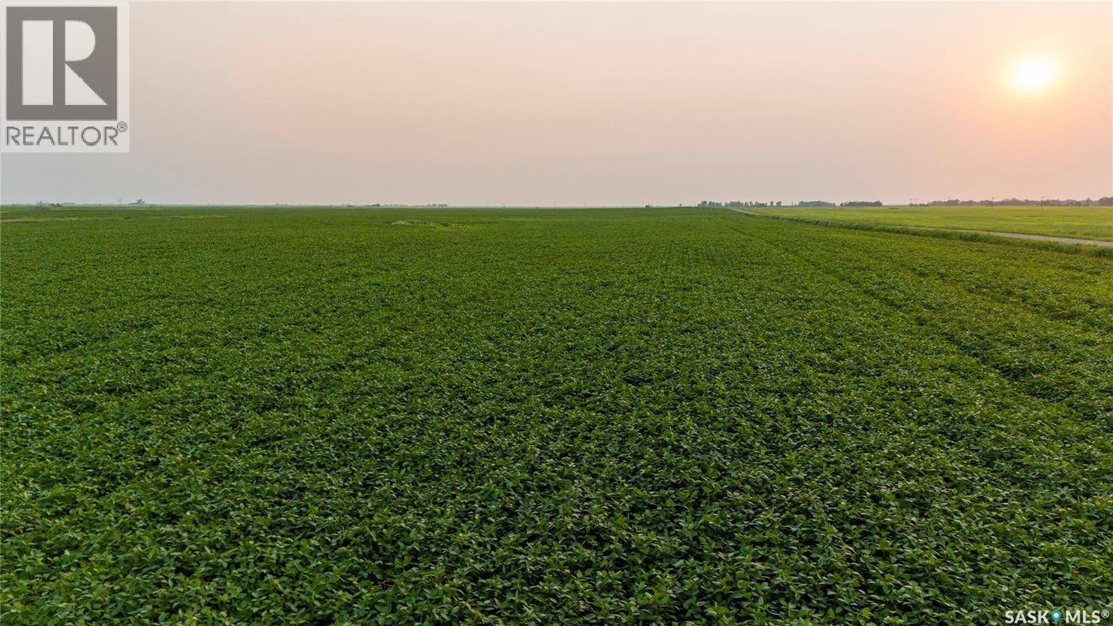 1,033 Acres - Frobisher - Rm's 3 & 4, Coalfields Rm No. 4, Saskatchewan S0C 0B2 - Photo 7 - SK044649