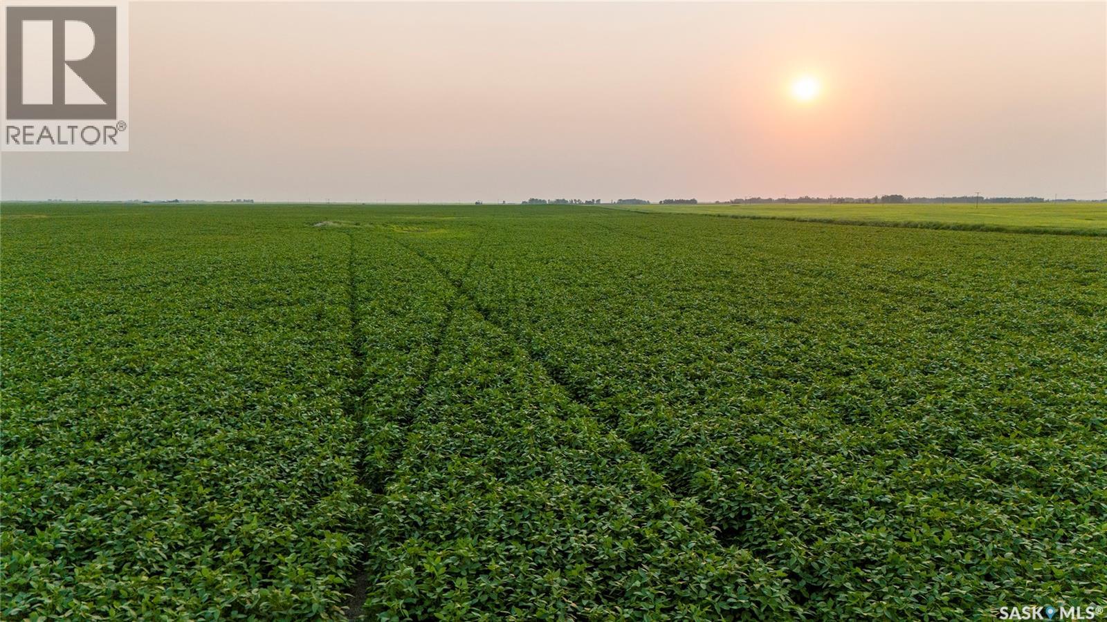 1,033 Acres - Frobisher - Rm's 3 & 4, Coalfields Rm No. 4, Saskatchewan S0C 0B2 - Photo 8 - SK044649