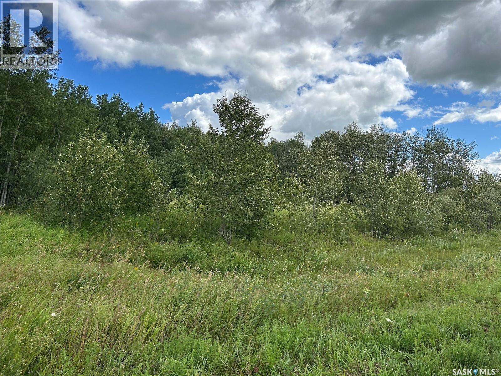 Ball Recreation Land, Clayton Rm No. 333, Saskatchewan S0A 3X0 - Photo 2 - SK044893
