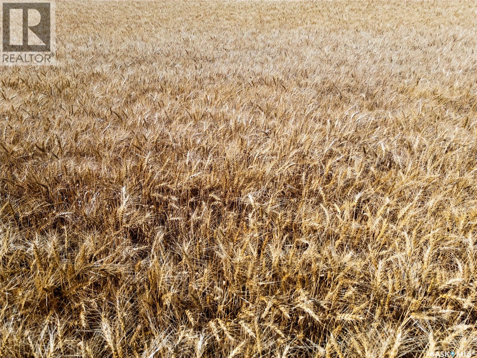 S 1/2 36-13-16 W2 - Sedley, Lajord Rm No. 128, Saskatchewan S0G 0J8 - Photo 8 - SK047069