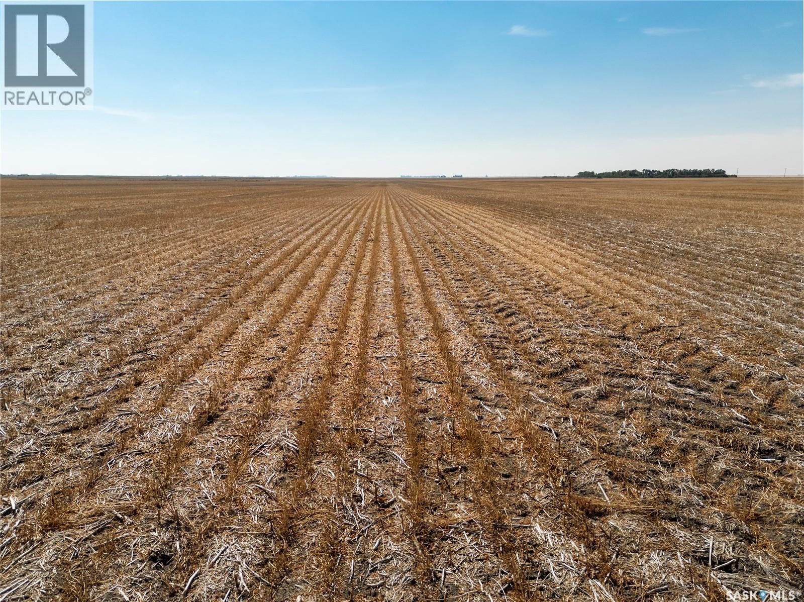 305 Acres - Sedley, francis rm no. 127, Saskatchewan