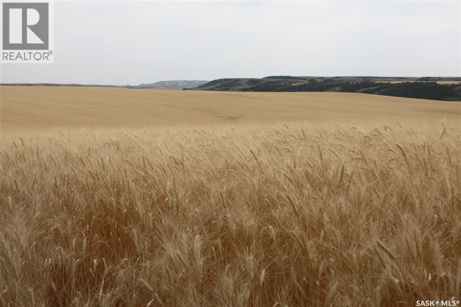 214.99 Acres Grainland Near Willow Bunch, willow bunch rm no. 42, Saskatchewan