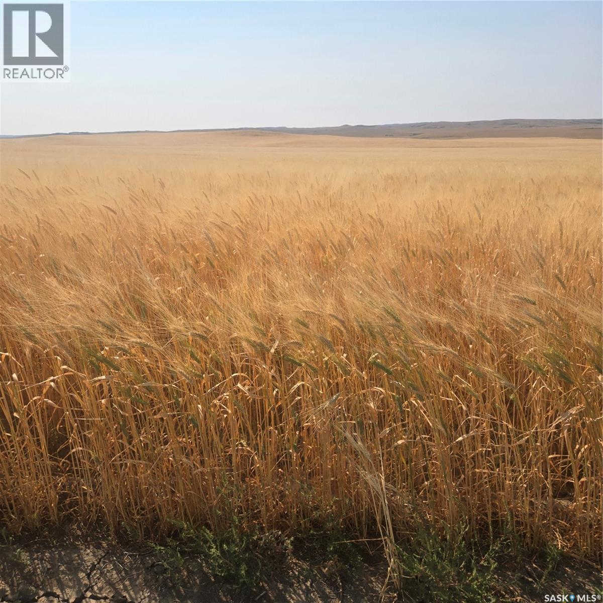 Rm044 - Geoffrion Farmland, Waverley Rm No. 44, Saskatchewan S0H 4L0 - Photo 6 - SK047742
