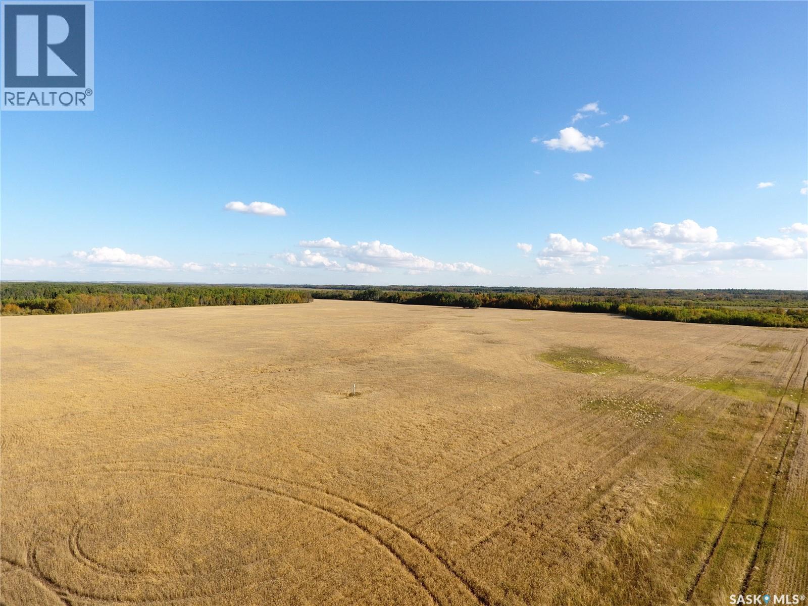 Erickson Land NW 29, barrier valley rm no. 397, Saskatchewan