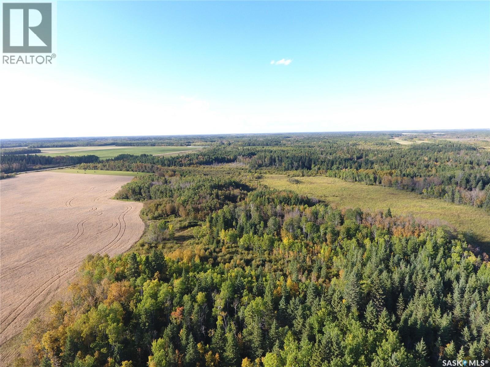 Erickson Land Nw 29, Barrier Valley Rm No. 397, Saskatchewan S0E 0B0 - Photo 10 - SK048947