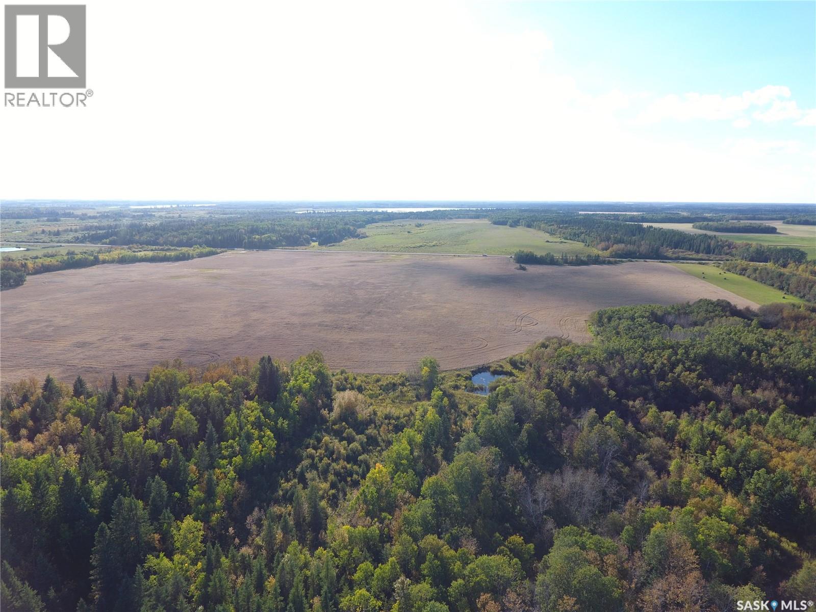 Erickson Land Nw 29, Barrier Valley Rm No. 397, Saskatchewan S0E 0B0 - Photo 11 - SK048947