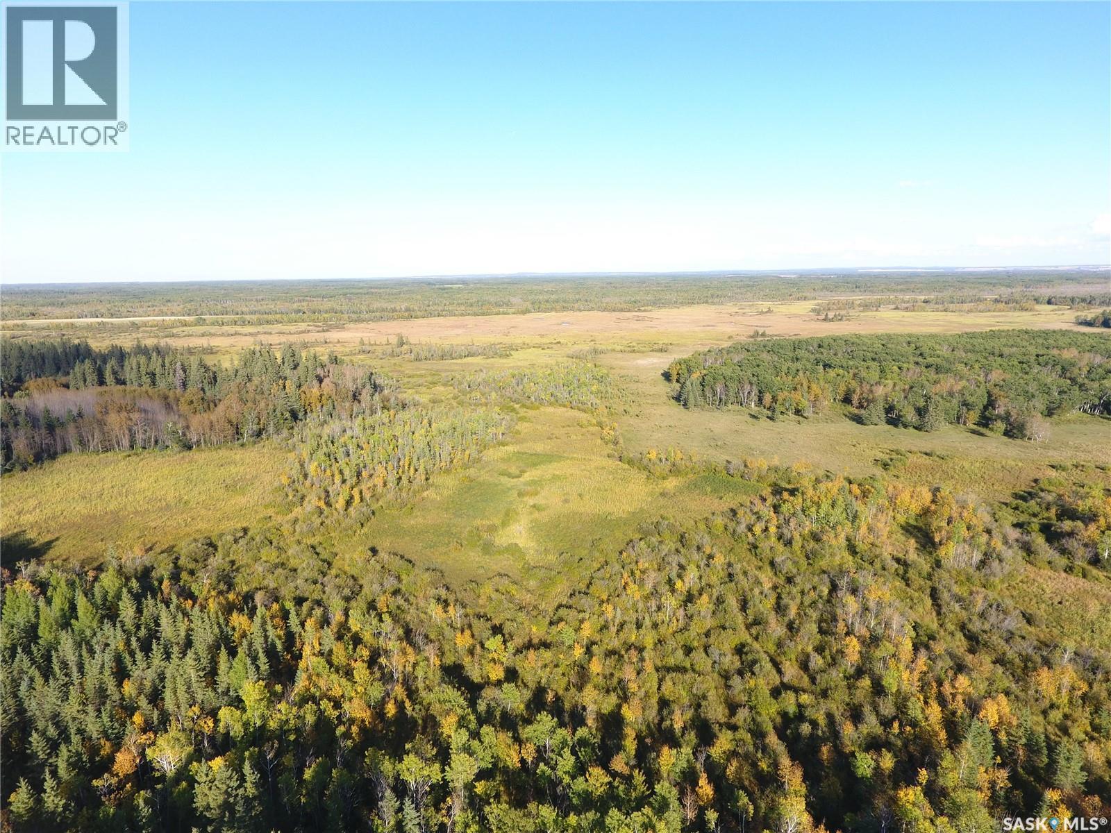 Erickson Land Nw 29, Barrier Valley Rm No. 397, Saskatchewan S0E 0B0 - Photo 12 - SK048947