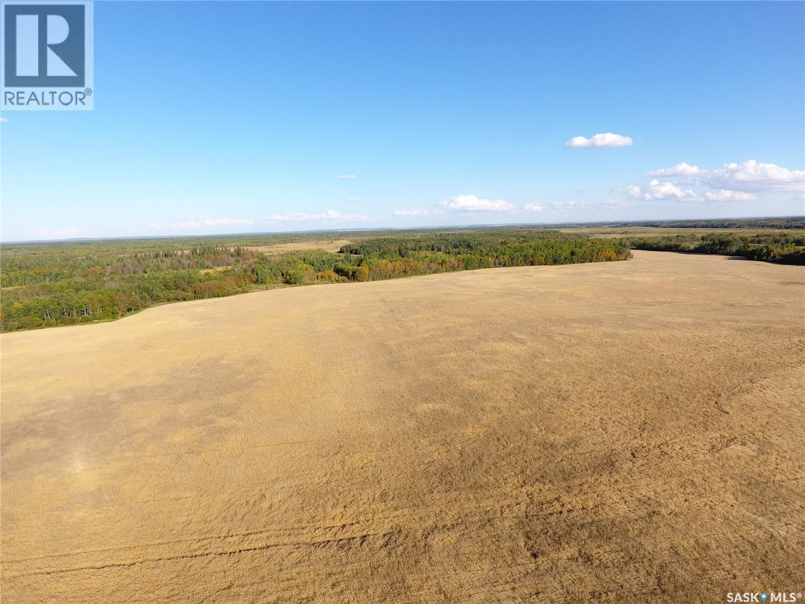 Erickson Land Nw 29, Barrier Valley Rm No. 397, Saskatchewan S0E 0B0 - Photo 2 - SK048947