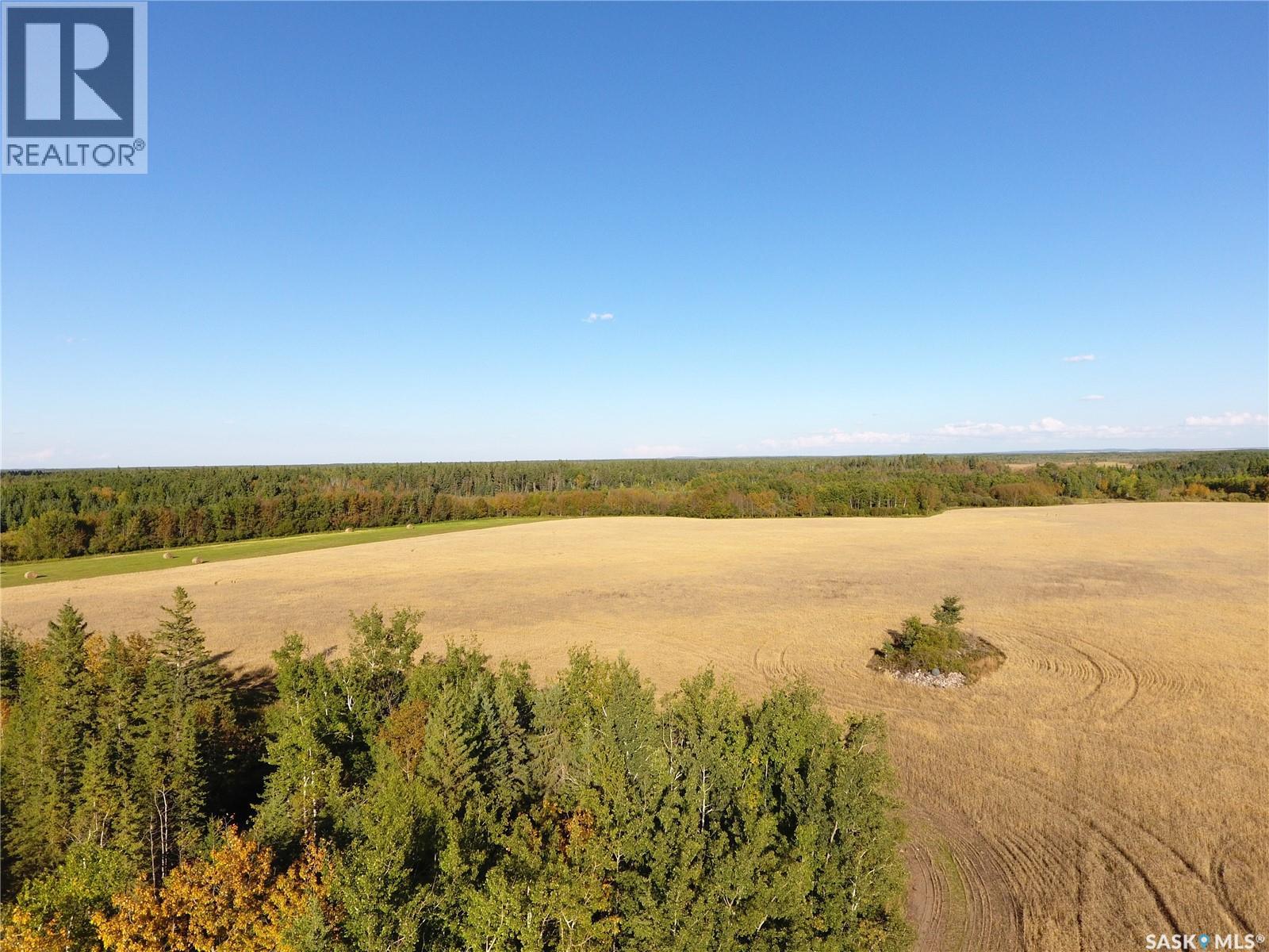 Erickson Land Nw 29, Barrier Valley Rm No. 397, Saskatchewan S0E 0B0 - Photo 4 - SK048947