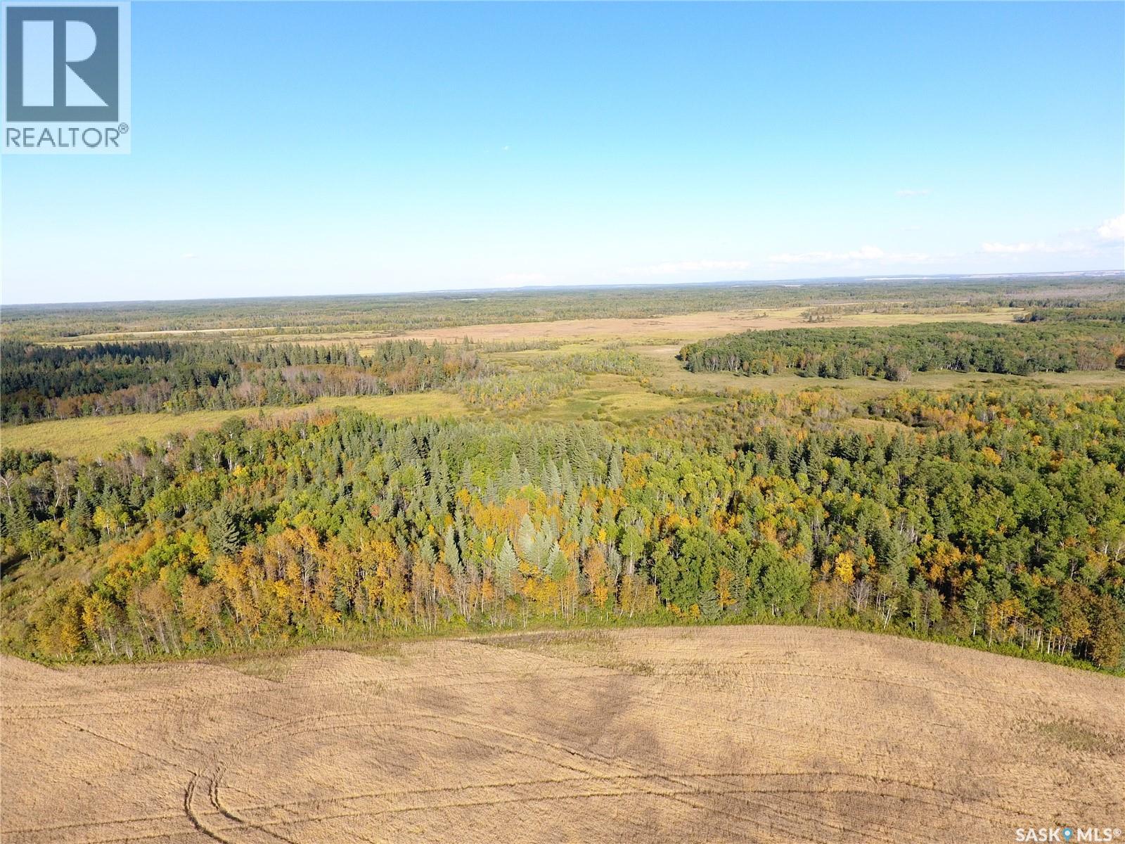 Erickson Land Nw 29, Barrier Valley Rm No. 397, Saskatchewan S0E 0B0 - Photo 8 - SK048947