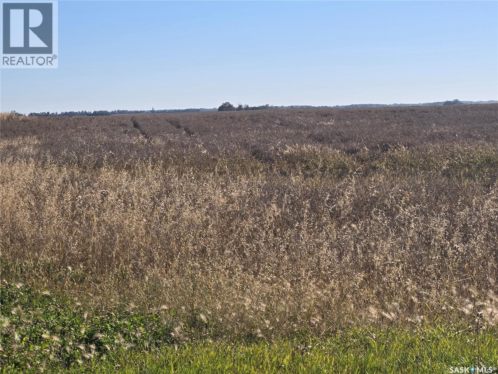 Hagen quarter, birch hills rm no. 460, Saskatchewan