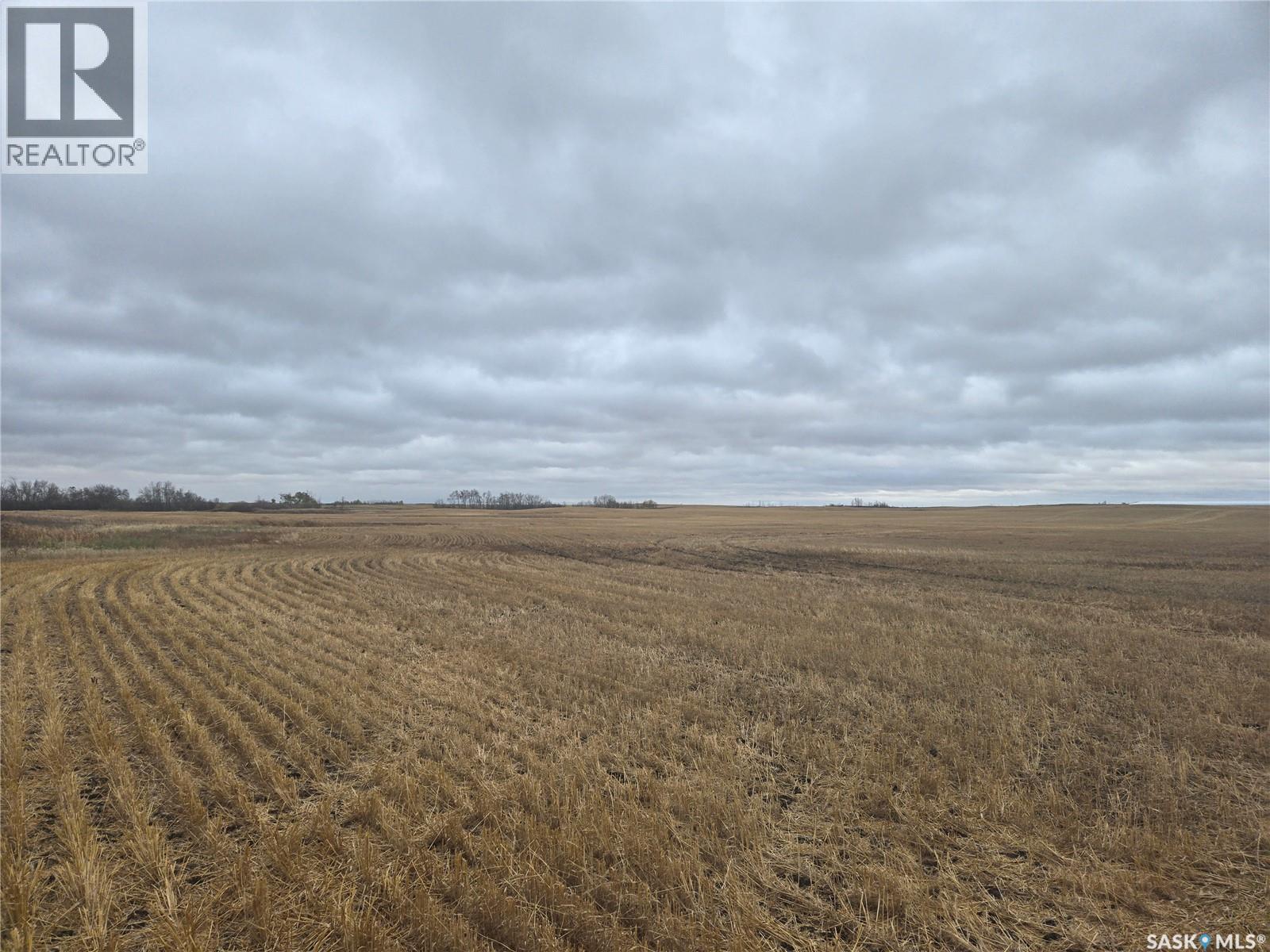 Schindel Farm, Stanley Rm No. 215, Saskatchewan S0A 2P0 - Photo 15 - SK051223