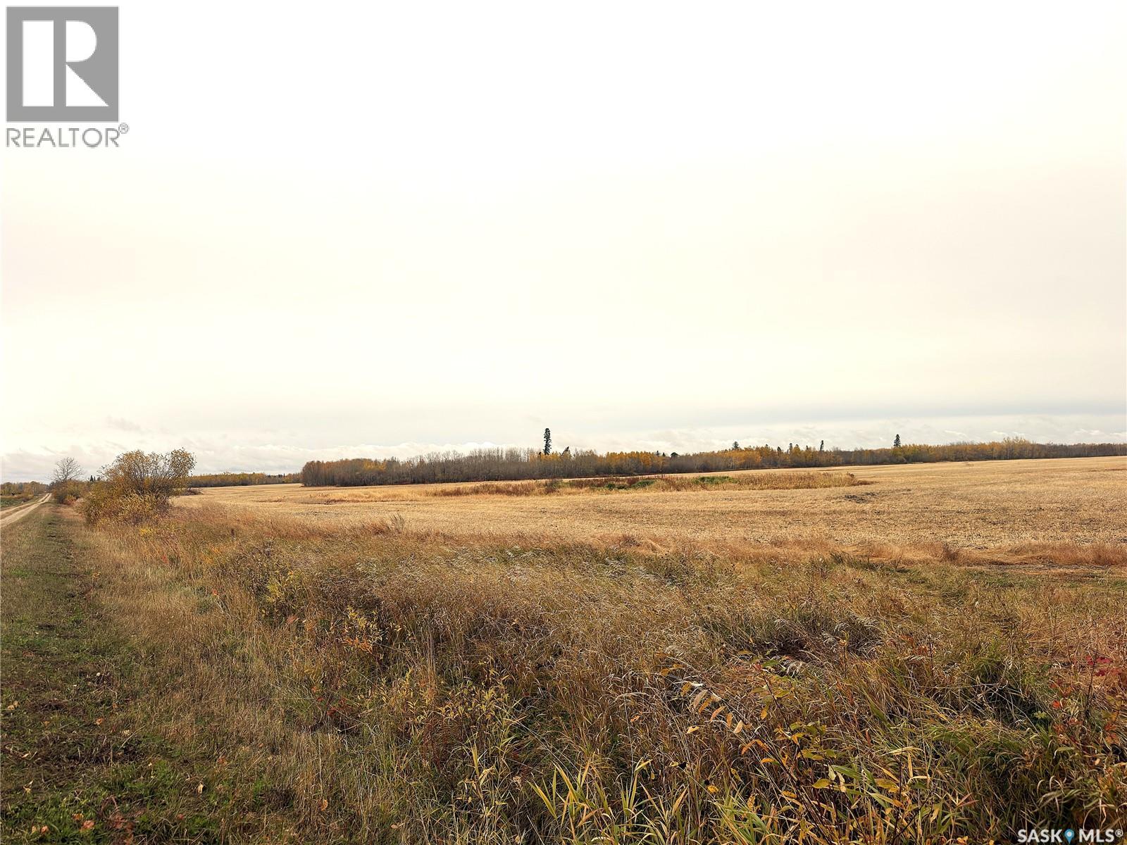 Hall Farmland, hudson bay rm no. 394, Saskatchewan