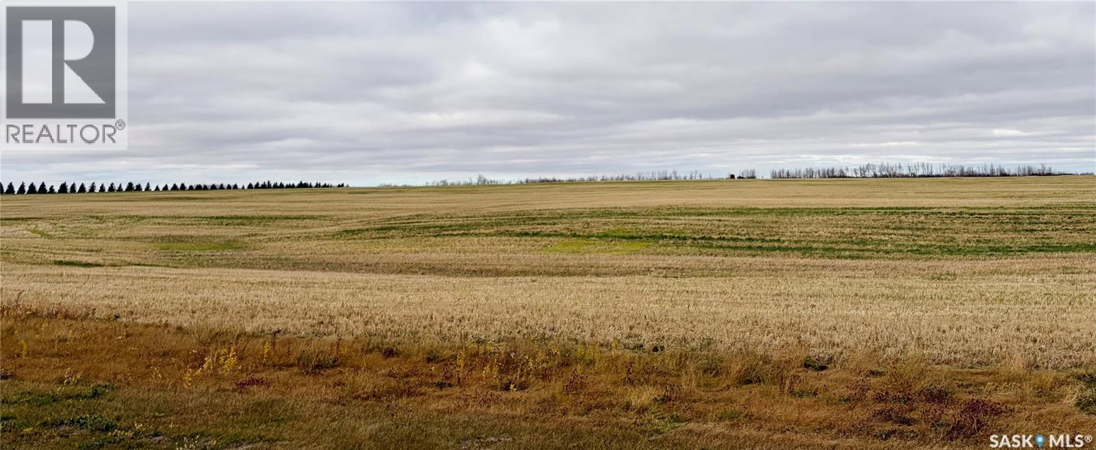 Marchildon Land, Connaught Rm No. 457, Saskatchewan S0E 1W0 - Photo 3 - SK051994