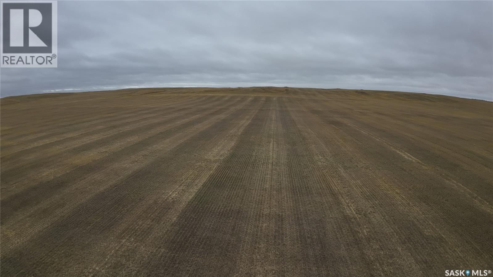 160 Acres Of Grain Farmland In Rm Of 139 Gull Lake, Gull Lake Rm No. 139, Saskatchewan S0N 1A0 - Photo 3 - SK052030